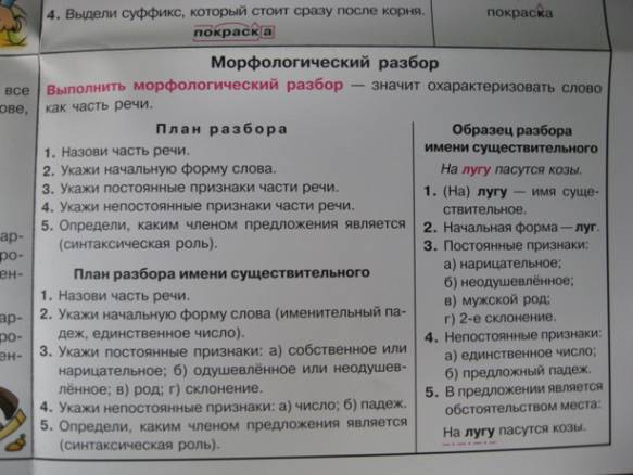 Какие разборы под цифрами. Виды разборов в русском языке. Все виды разборов 5 класс. Виды разбора слова в русском языке. Разборы слов в русском языке 7 класс.