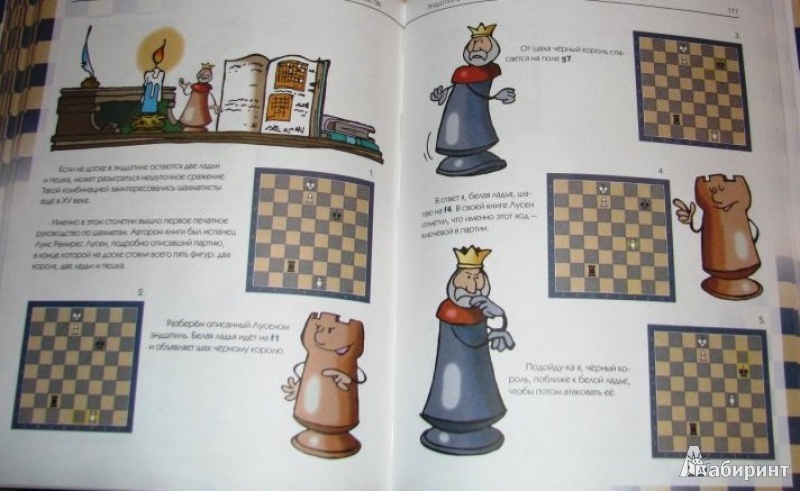 Иллюстрация 17 из 25 для Приключения в шахматном королевстве - Халас, Геци | Лабиринт - книги. Источник: Ketrine