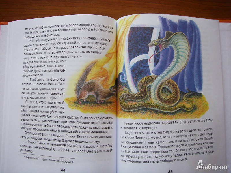 Иллюстрация 11 из 44 для Сказки - Редьярд Киплинг | Лабиринт - книги. Источник: Фролова  Александра