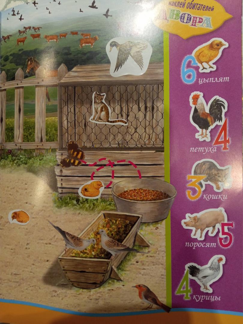 Иллюстрация 9 из 14 для Животные в деревне | Лабиринт - книги. Источник: Колпакова Елена