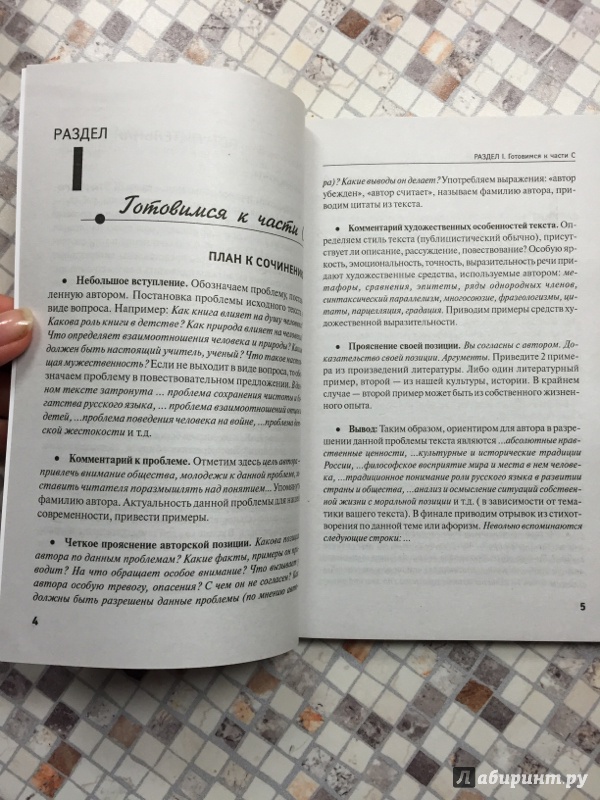 Иллюстрация 35 из 36 для Пишем сочинение на ЕГЭ (часть С) - Елена Амелина | Лабиринт - книги. Источник: Киска&amp;#127820;