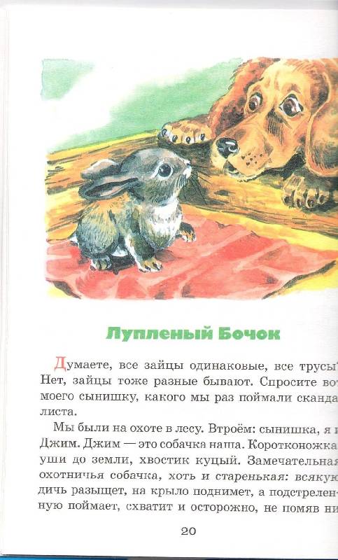 Иллюстрация 9 из 20 для Лесные домишки - Виталий Бианки | Лабиринт - книги. Источник: Стрекоза