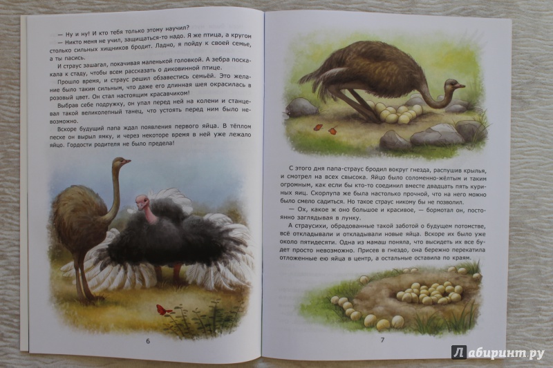 Иллюстрация 26 из 31 для Заботы страуса - Лариса Тарасенко | Лабиринт - книги. Источник: По страницам детских книг