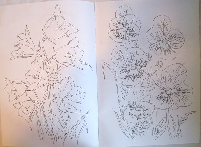 Иллюстрация 12 из 14 для Раскраска: Цветы (Р040104) | Лабиринт - книги. Источник: Бривух