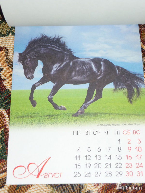 Иллюстрация 10 из 12 для Календарь на магните на 2014 год "Год лошади" | Лабиринт - сувениры. Источник: Шубина  Диана Владимировна