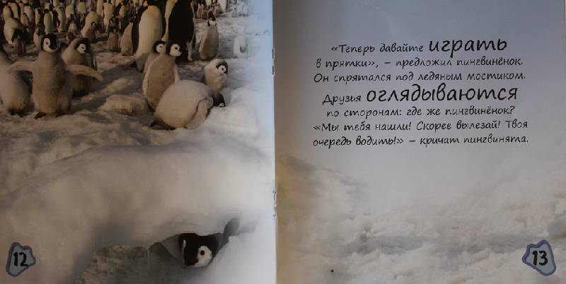 Иллюстрация 22 из 22 для Пингвиненок покоряет Антарктиду - Майкл Тейтелбаум | Лабиринт - книги. Источник: Света-Лето