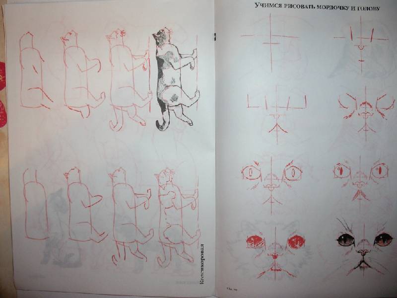 Иллюстрация 4 из 23 для Рисуем 50 кошек - Ли Эймис | Лабиринт - книги. Источник: Tiger.
