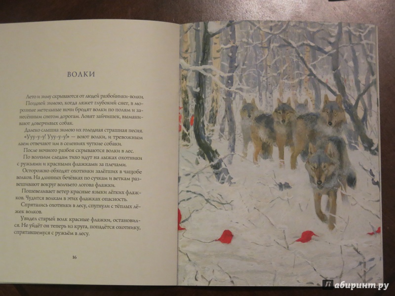 Иллюстрация 19 из 64 для Зима в лесу - Иван Соколов-Микитов | Лабиринт - книги. Источник: anschaffen