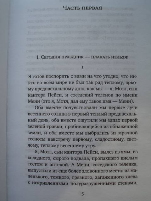 Иллюстрация 7 из 15 для Мальчик Мотл - Шолом-Алейхем | Лабиринт - книги. Источник: Blackboard_Writer