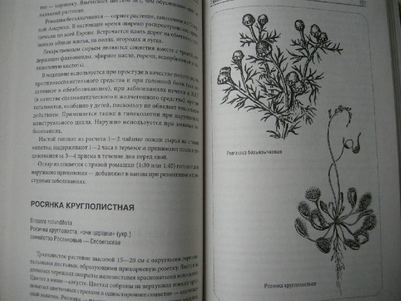Иллюстрация 10 из 10 для Справочник лекарственных растений - Андрей Рябоконь | Лабиринт - книги. Источник: Chedi
