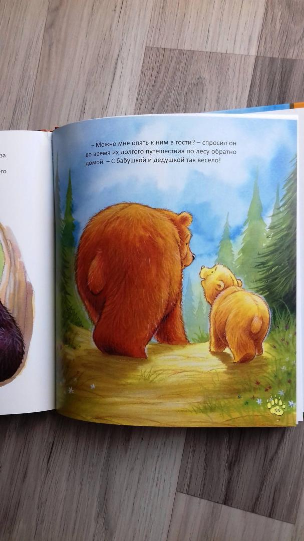 Иллюстрация 28 из 29 для Старые медведи не умеют лазать по деревьям - Хейди Ховарт | Лабиринт - книги. Источник: @bumazhniy_gorod