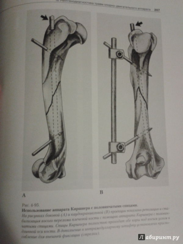 Иллюстрация 3 из 8 для Рентгенологический атлас по травматологии собак и кошек - Морган, Вулвекамп | Лабиринт - книги. Источник: Шнурок