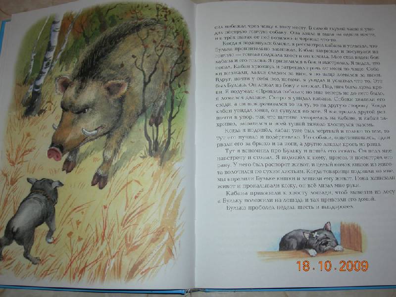 Иллюстрация 30 из 43 для Все лучшие сказки и рассказы - Лев Толстой | Лабиринт - книги. Источник: Соловей