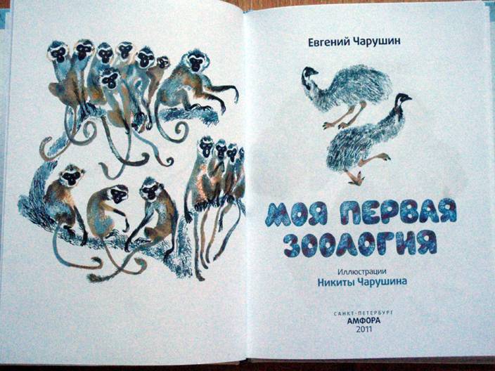 Иллюстрация 2 из 10 для Моя первая зоология - Евгений Чарушин | Лабиринт - книги. Источник: beet