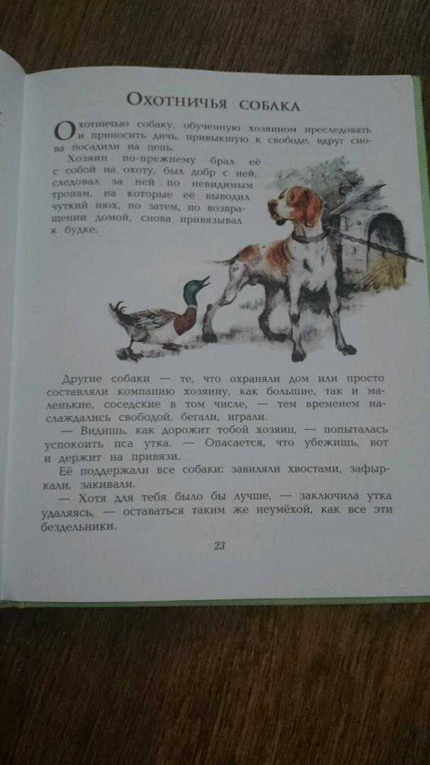 Иллюстрация 37 из 43 для 100 сказок и историй о животных, людях и мире природы для маленьких и постарше - Леон Альберти | Лабиринт - книги. Источник: Юлия
