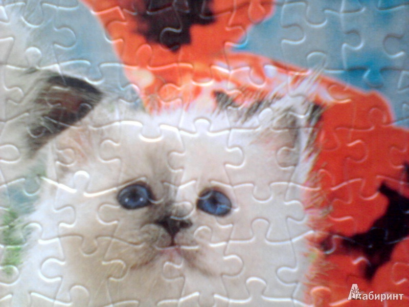 Иллюстрация 3 из 11 для Step Puzzle-300. "Котята" (98008) | Лабиринт - игрушки. Источник: Valeria V