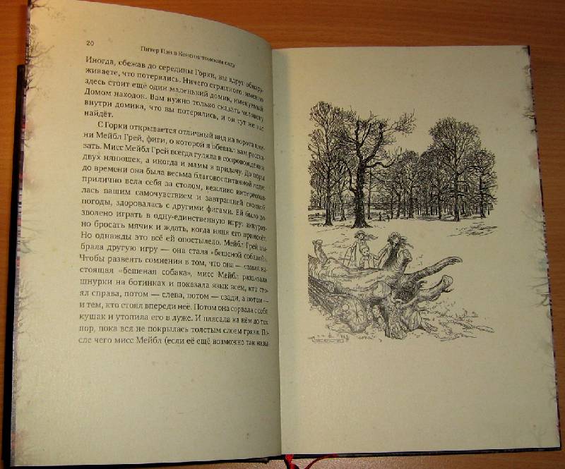 Иллюстрация 64 из 67 для Питер Пэн в Кенсингтонском саду - Джеймс Барри | Лабиринт - книги. Источник: Pam