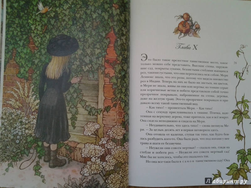 Иллюстрация 24 из 64 для Таинственный сад - Фрэнсис Бёрнетт | Лабиринт - книги. Источник: Olga