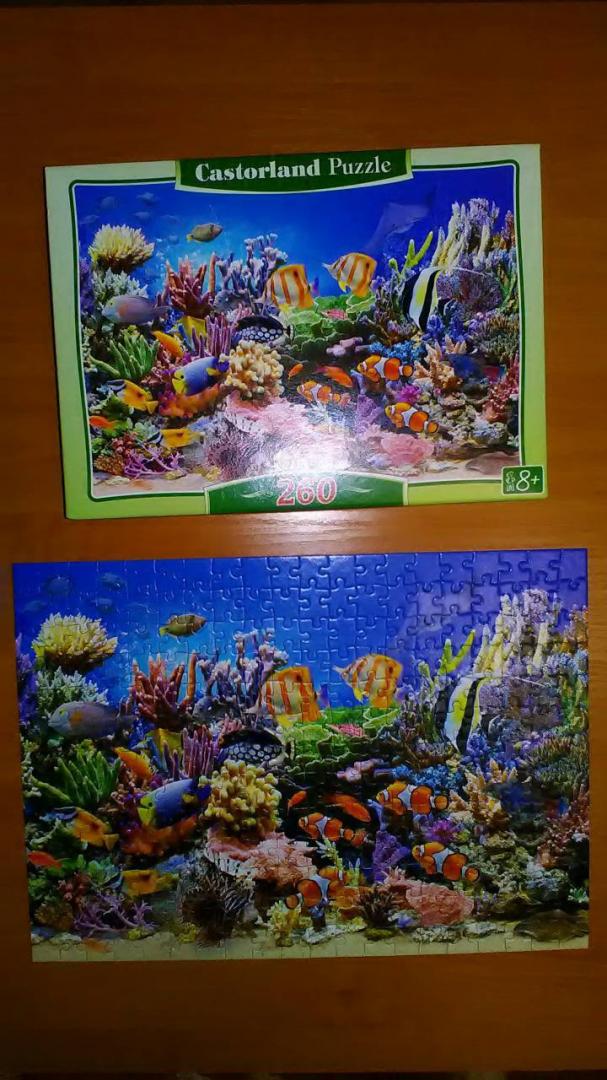 Иллюстрация 14 из 18 для Puzzle-260 MIDI "Цвета океана" (B-27279) | Лабиринт - игрушки. Источник: Selenita