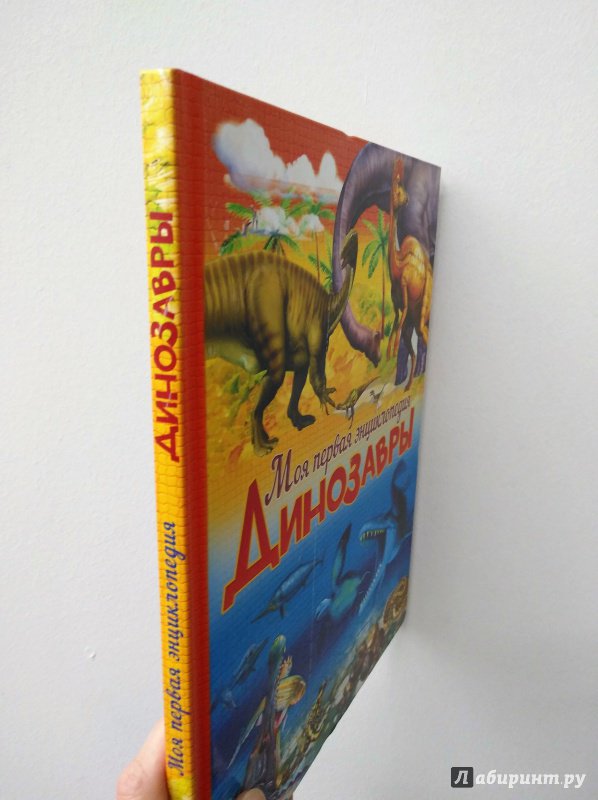Иллюстрация 10 из 15 для Динозавры - Барбара Маевская | Лабиринт - книги. Источник: Савчук Ирина