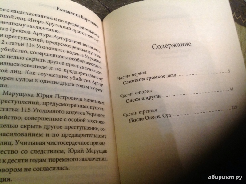 Иллюстрация 15 из 21 для Олеся. Сожженные мечты - Елизавета Воронина | Лабиринт - книги. Источник: Девятова  Анастасия Олеговна