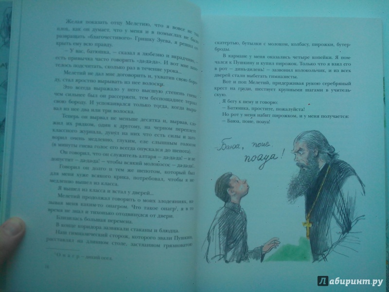 Иллюстрация 49 из 55 для Серебряный герб - Корней Чуковский | Лабиринт - книги. Источник: Александра Джейлани