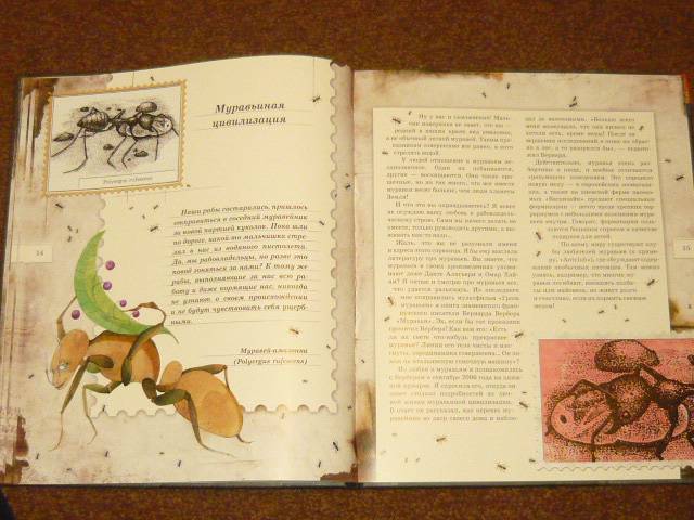 Иллюстрация 59 из 103 для Письма насекомых - Ольга Кувыкина | Лабиринт - книги. Источник: Ромашка:-)