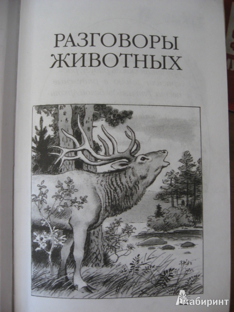 Иллюстрация 4 из 28 для Разговоры животных - Николай Сладков | Лабиринт - книги. Источник: tanechka-ka