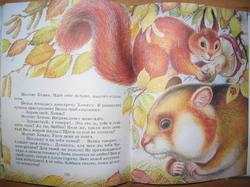 Иллюстрация 67 из 87 для Сказки о родной природе - Бианки, Сладков, Шим | Лабиринт - книги. Источник: Red cat ;)