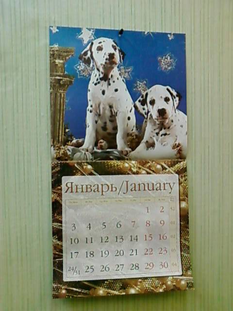 Иллюстрация 7 из 9 для Календарь 2011 "Щенята" | Лабиринт - сувениры. Источник: lettrice
