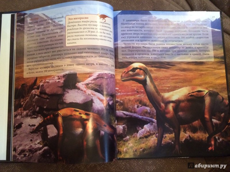 Иллюстрация 20 из 36 для Динозавры - Ирина Астапенко | Лабиринт - книги. Источник: Лабиринт