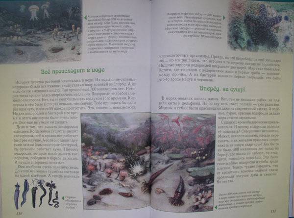 Иллюстрация 35 из 49 для Занимательная ботаника - Светлана Лаврова | Лабиринт - книги. Источник: HappyJul