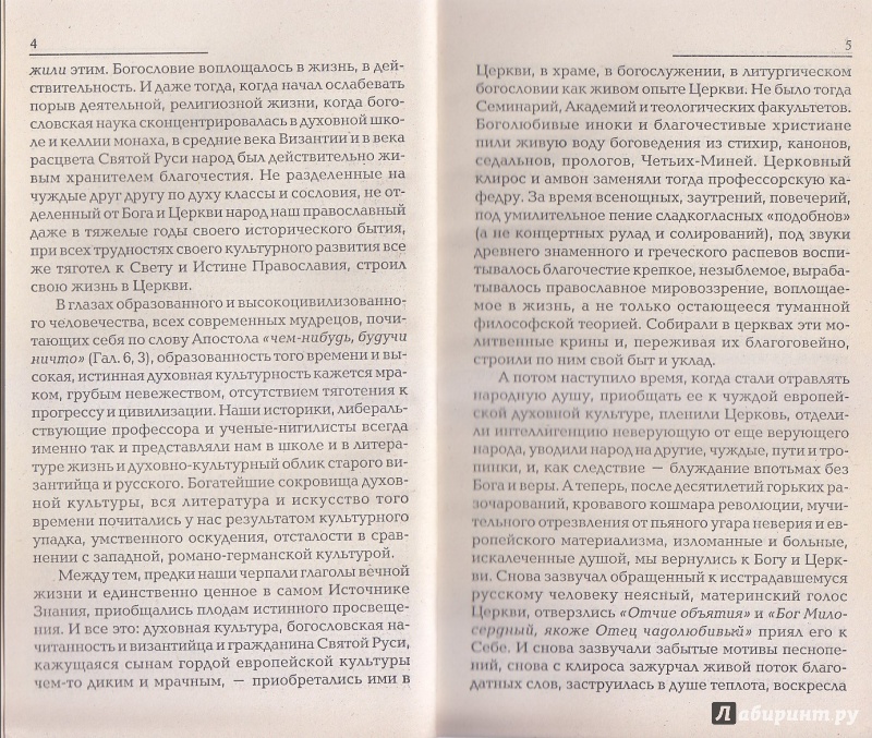 Иллюстрация 3 из 6 для Посмотрите на лилии полевые. Курс лекций по литургическому богословию - Киприан Архимандрит | Лабиринт - книги. Источник: А.В.Ф.