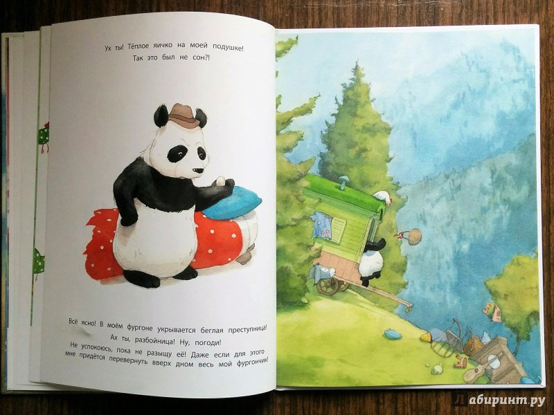 Иллюстрация 41 из 46 для Панда-бродяга - Квентин Гребан | Лабиринт - книги. Источник: Natalie Leigh