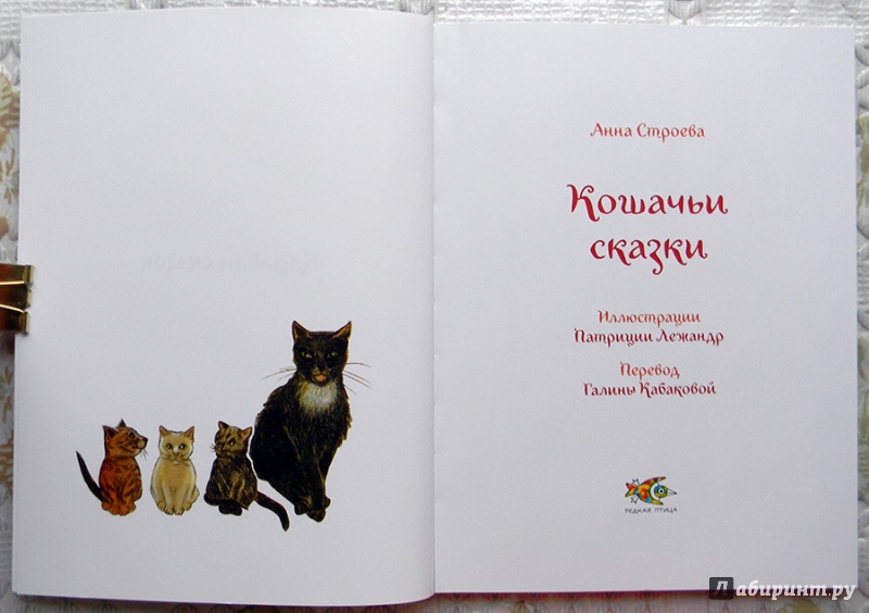 Иллюстрация 49 из 63 для Кошачьи сказки - Анна Строева | Лабиринт - книги. Источник: Раскова  Юлия