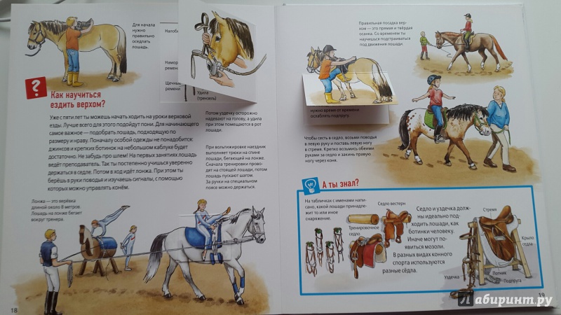 Иллюстрация 11 из 34 для Лошади и пони - Татьяна Марти | Лабиринт - книги. Источник: Горскова  Екатерина