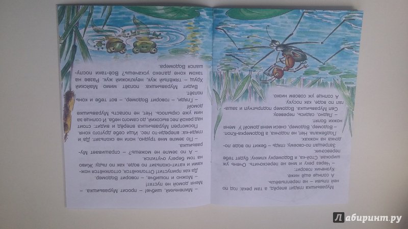Иллюстрация 4 из 20 для Как муравьишка домой спешил - Виталий Бианки | Лабиринт - книги. Источник: Земляничка