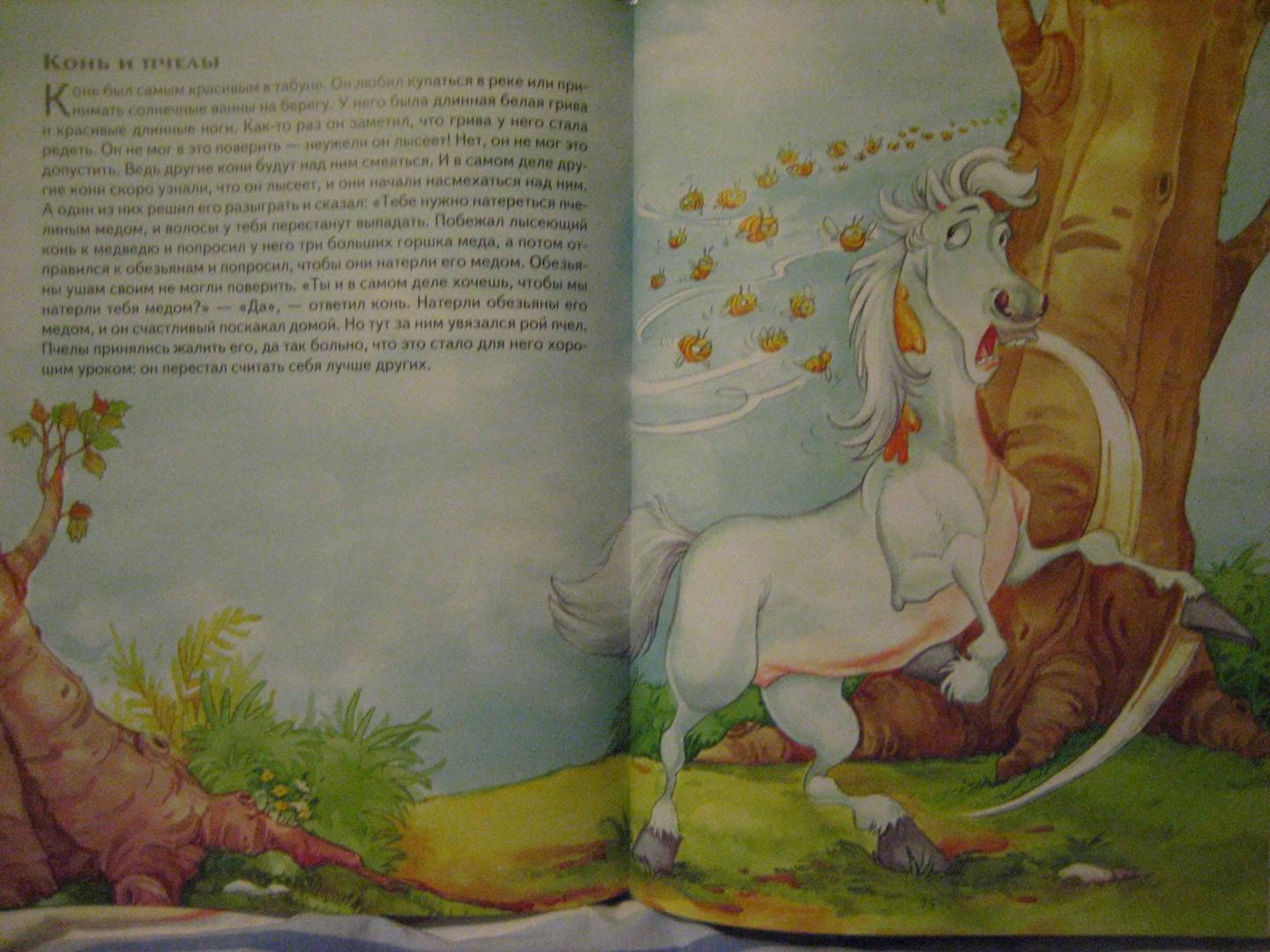 Иллюстрация 29 из 30 для Про зверей. Сказки, истории, притчи | Лабиринт - книги. Источник: Трухина Ирина