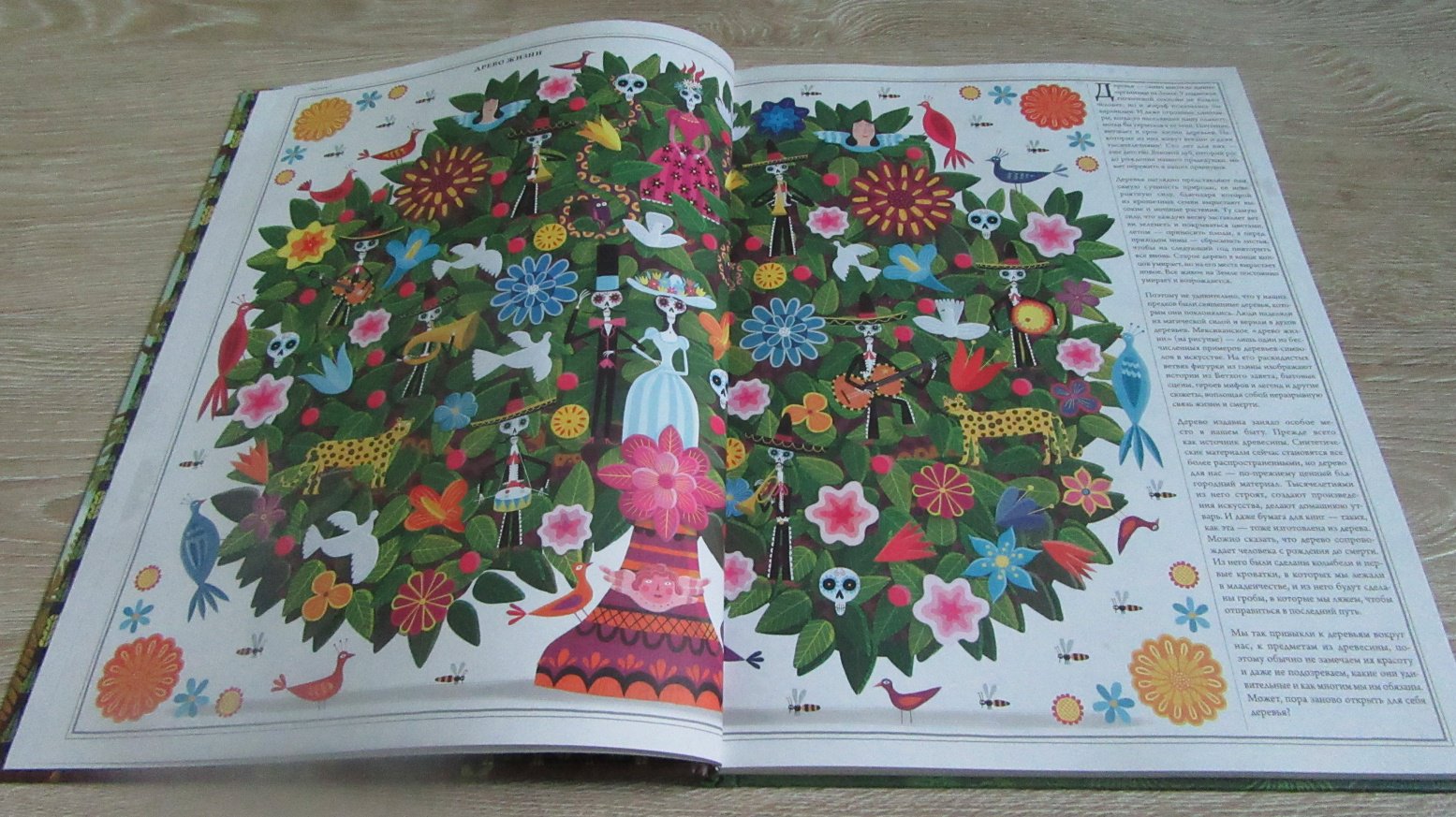 Иллюстрация 24 из 70 для Деревья - Соха, Грайковский | Лабиринт - книги. Источник: дюдюка барбидокская