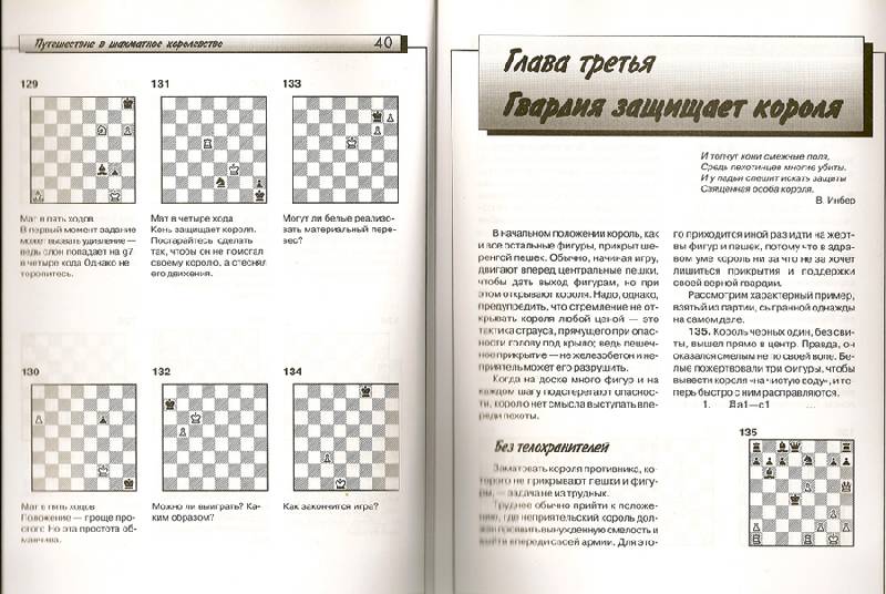 Иллюстрация 2 из 3 для Путешествие в шахматное королевство - Авербах, Бейлин | Лабиринт - книги. Источник: farnor