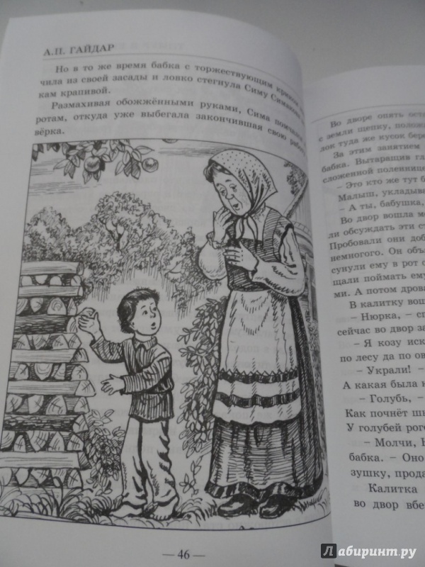 Иллюстрация 10 из 14 для Тимур и его команда - Аркадий Гайдар | Лабиринт - книги. Источник: Брежнева  Инга