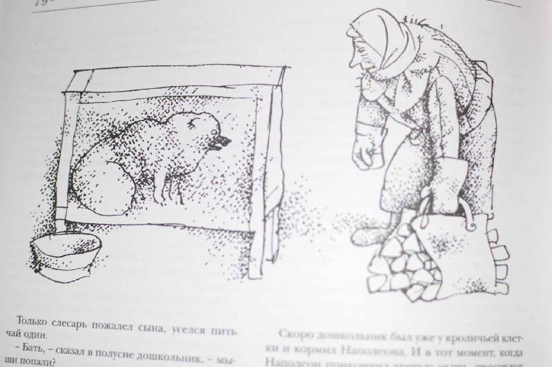 Иллюстрация 26 из 27 для Сказки века-2 | Лабиринт - книги. Источник: Орлова  Елена