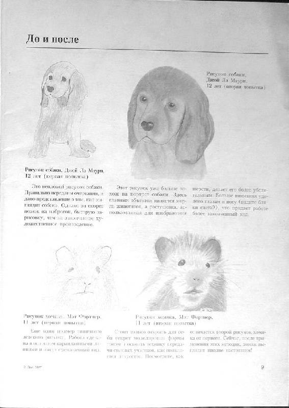Иллюстрация 2 из 24 для Учимся рисовать животных - Ли Хэммонд | Лабиринт - книги. Источник: Caaat