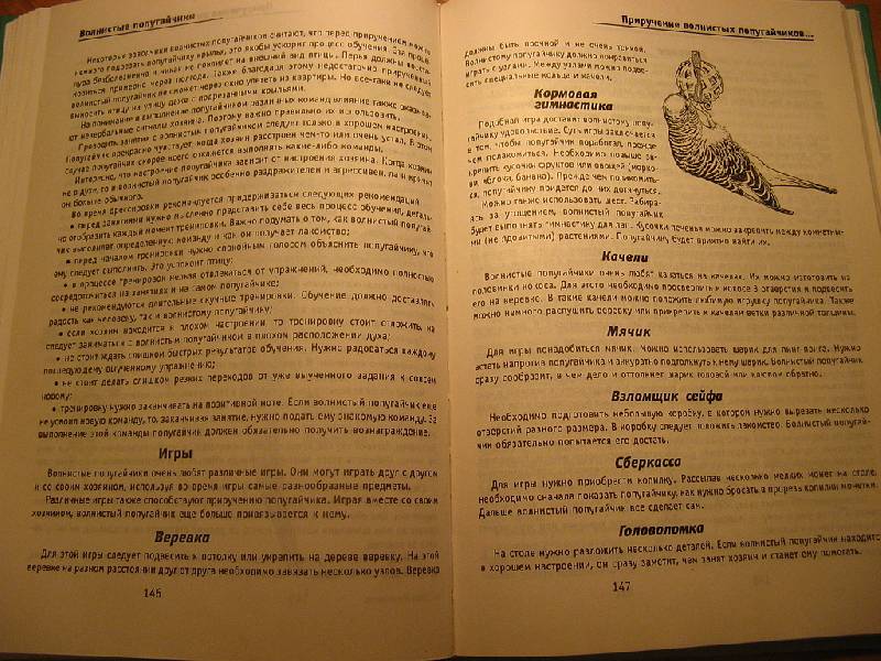 Иллюстрация 5 из 5 для Волнистые попугайчики - Линиза Жалпанова | Лабиринт - книги. Источник: NataliOk