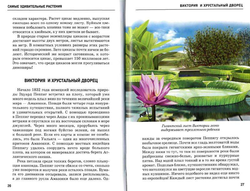 Иллюстрация 10 из 54 для Самые удивительные растения - Сергей Афонькин | Лабиринт - книги. Источник: Юта