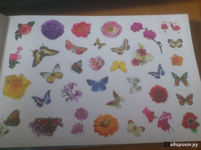 Иллюстрация 14 из 20 для 400 наклеек. Мир цветов и бабочек | Лабиринт - книги. Источник: Зеленкова  Екатерина