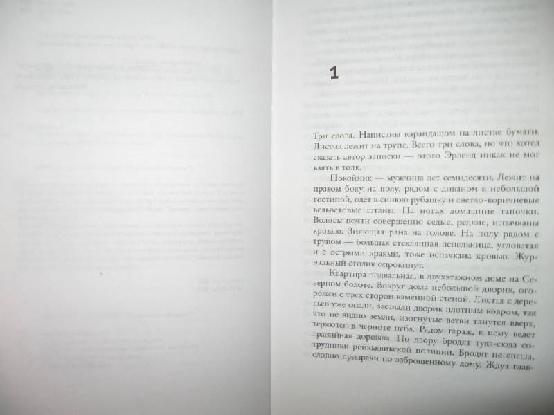 Иллюстрация 3 из 11 для Трясина - Арнальд Индридасон | Лабиринт - книги. Источник: Флинкс