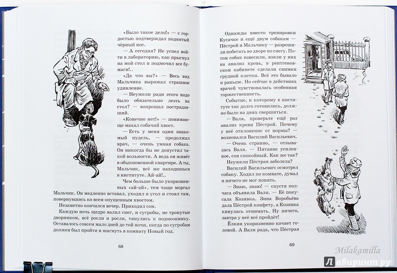 Иллюстрация 55 из 65 для Тяпа, Борька и ракета - Баранова, Велтистов | Лабиринт - книги. Источник: Букландия