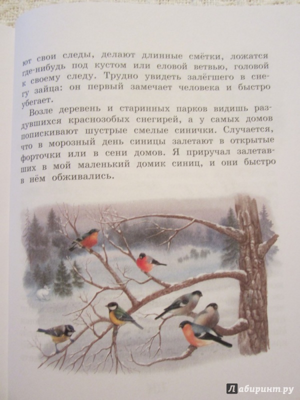 Иллюстрация 16 из 32 для Домик в лесу - Иван Соколов-Микитов | Лабиринт - книги. Источник: ЮлияО