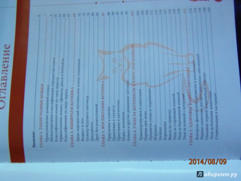 Иллюстрация 2 из 7 для Ваша кошка. Практическое руководство по уходу - Анастасия Красичкова | Лабиринт - книги. Источник: D'Olga